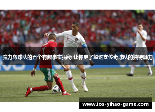 魔力鸟球队的五个有趣事实揭秘 让你更了解这支传奇球队的独特魅力