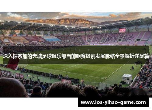 深入探索加的夫城足球俱乐部当前联赛级别发展脉络全景解析详尽篇
